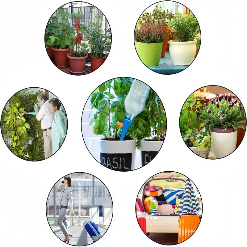 Self-Watering Spikes for Plants - (Buy 5 Get 5 FREEš„)