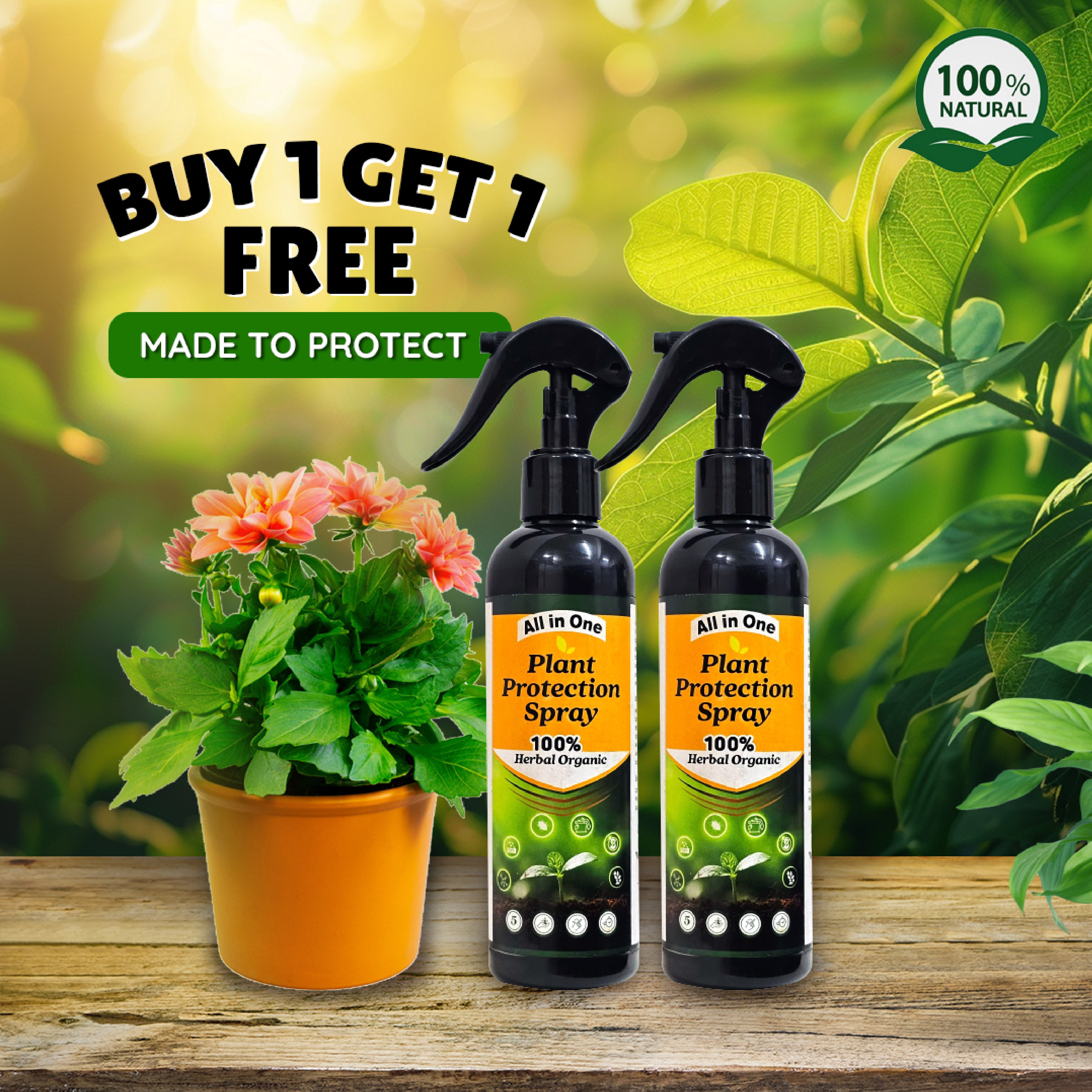 PlantShield™ - All in One Plant Protection Spray 🌿🛡️(Buy 1 Get 1 Free🔥🔥)